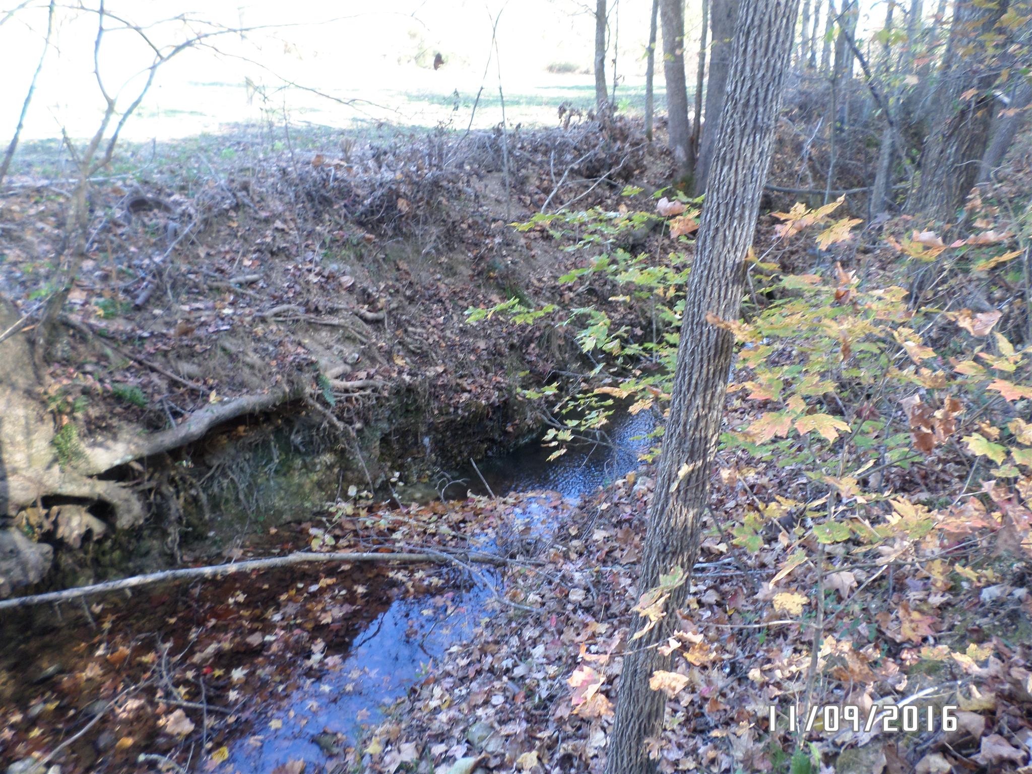 199 Meredith Hollow Road Waynesboro, TN 38485 - Photo 3 of 30 Gallery Image 3