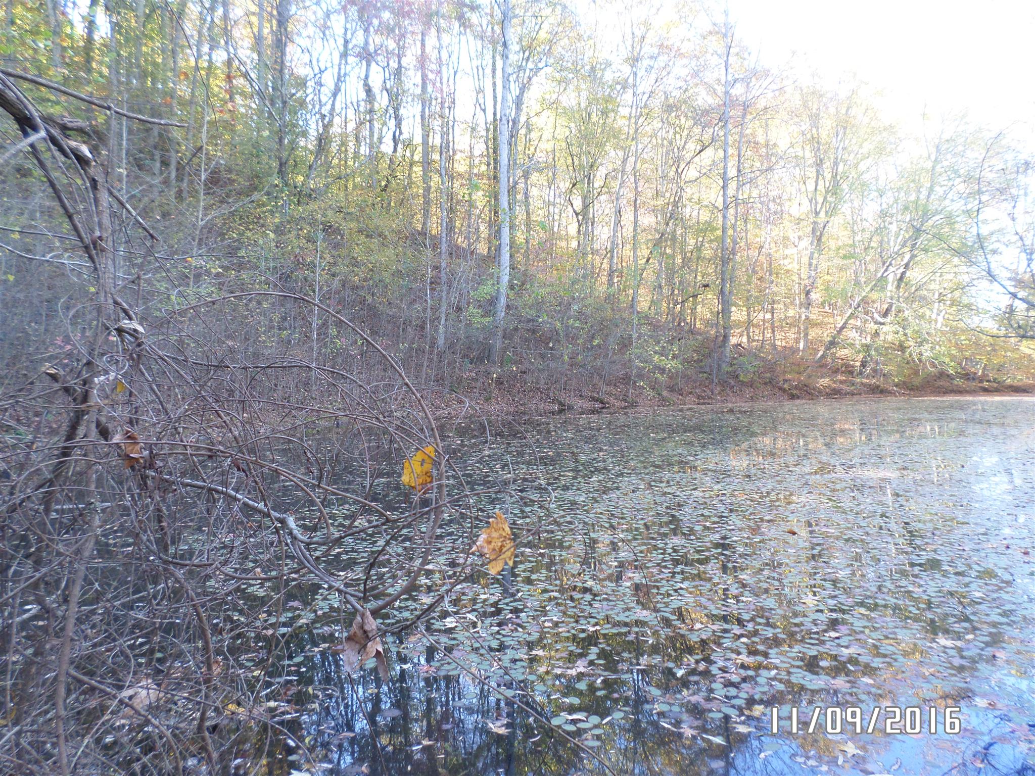 199 Meredith Hollow Road Waynesboro, TN 38485 - Photo 6 of 30 Gallery Image 6