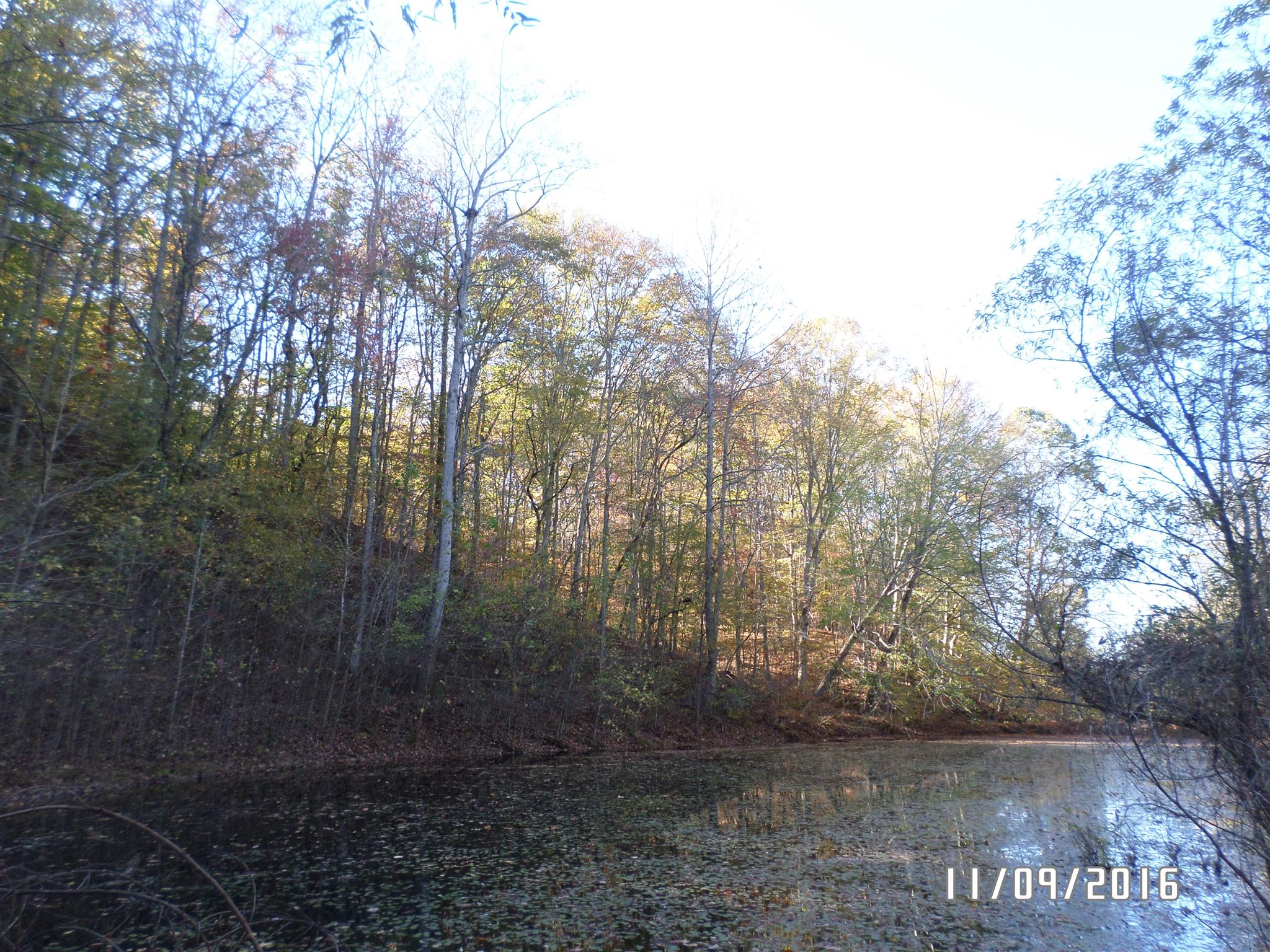 199 Meredith Hollow Road Waynesboro, TN 38485 - Photo 7 of 30 Gallery Image 7