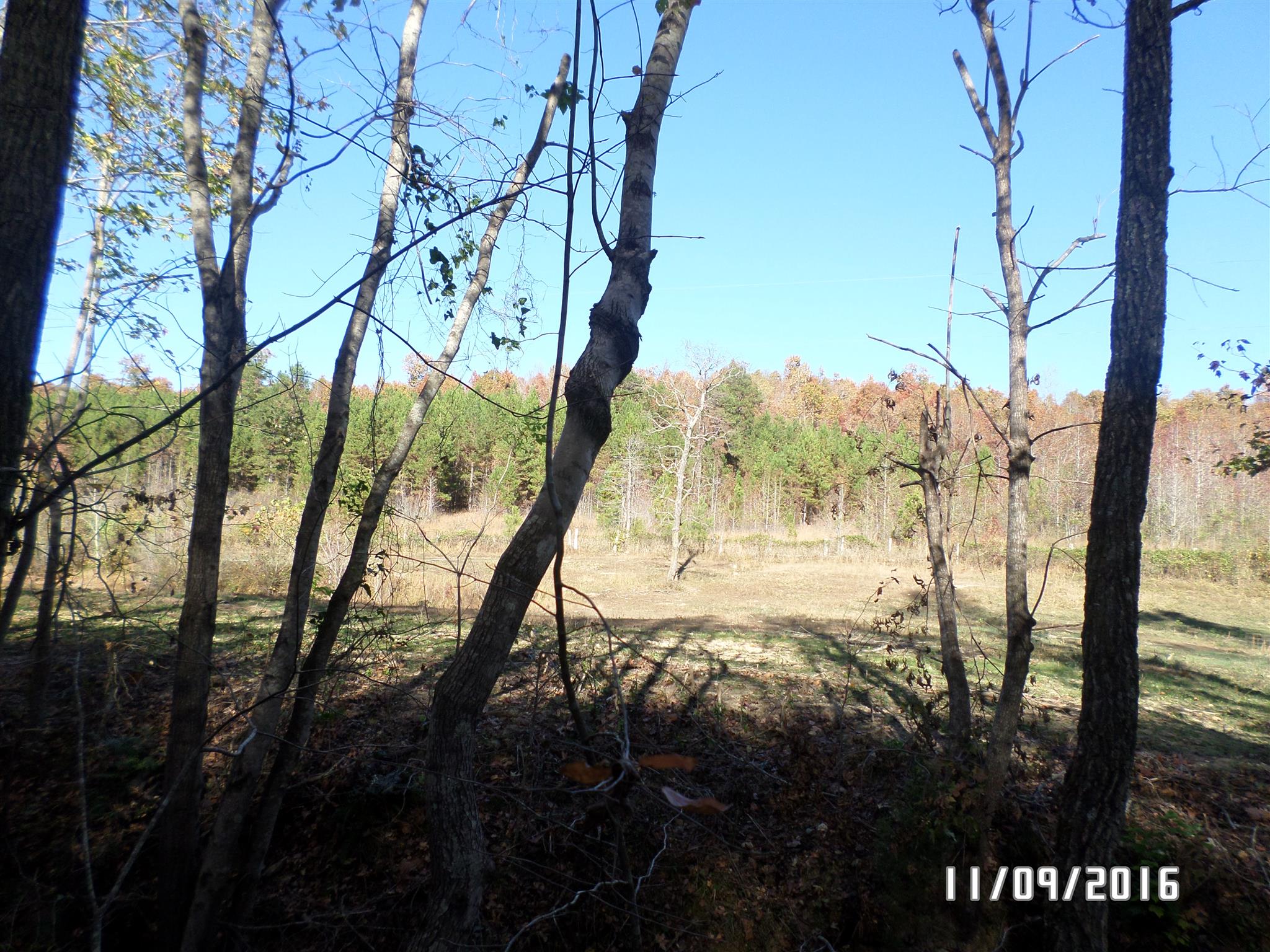 199 Meredith Hollow Road Waynesboro, TN 38485 - Photo 8 of 30 Gallery Image 8
