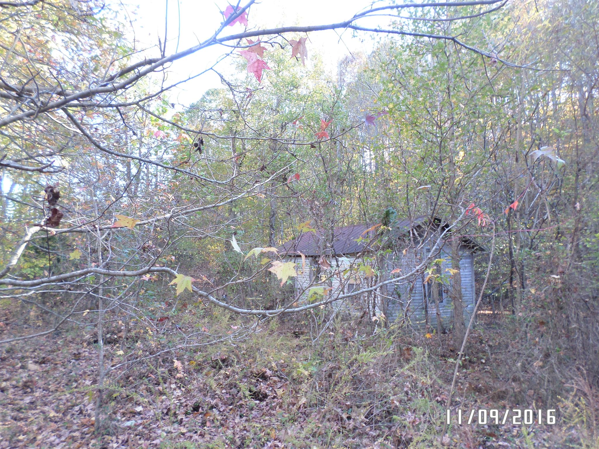 199 Meredith Hollow Road Waynesboro, TN 38485 - Photo 9 of 30 Gallery Image 9