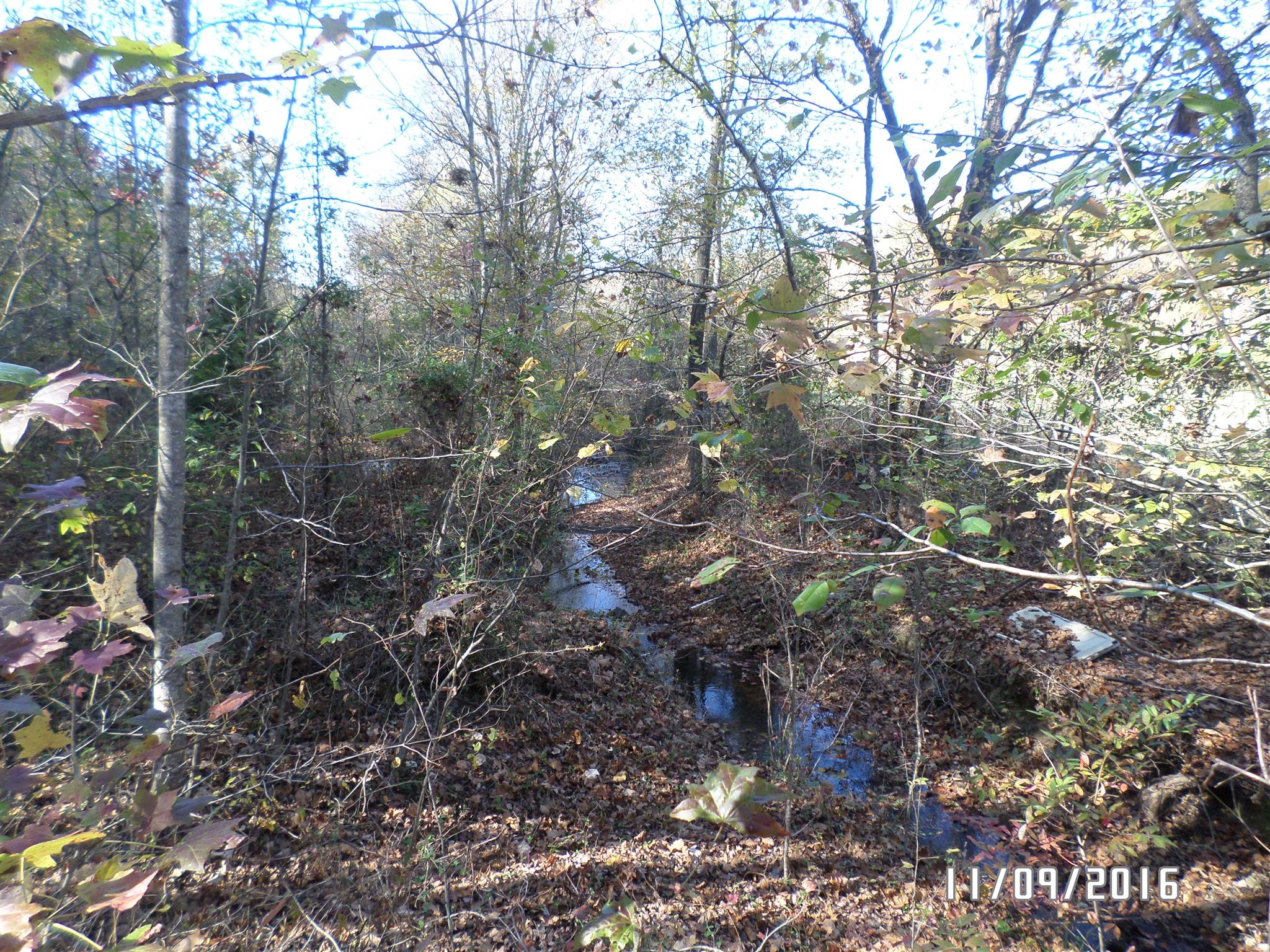 199 Meredith Hollow Road Waynesboro, TN 38485 - Photo 10 of 30 Gallery Image 10