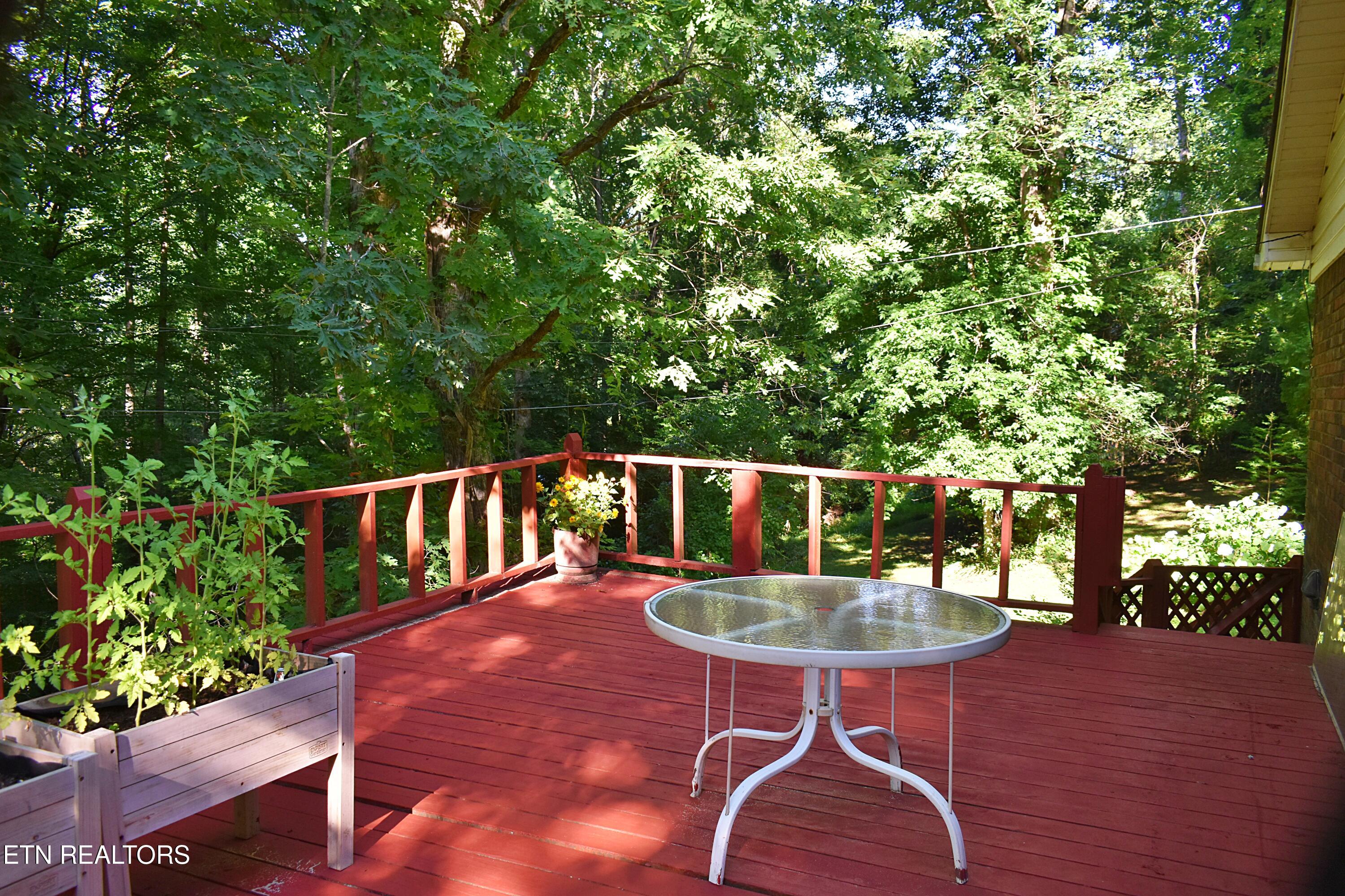 129 Jefferson Street Harrogate, TN 37752 - Photo 26 of 51 DSC_0049