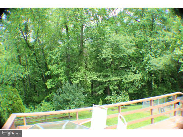 207 Ellisdale Road Chesterfield, NJ 08515 - Photo 8 of 21 Deck