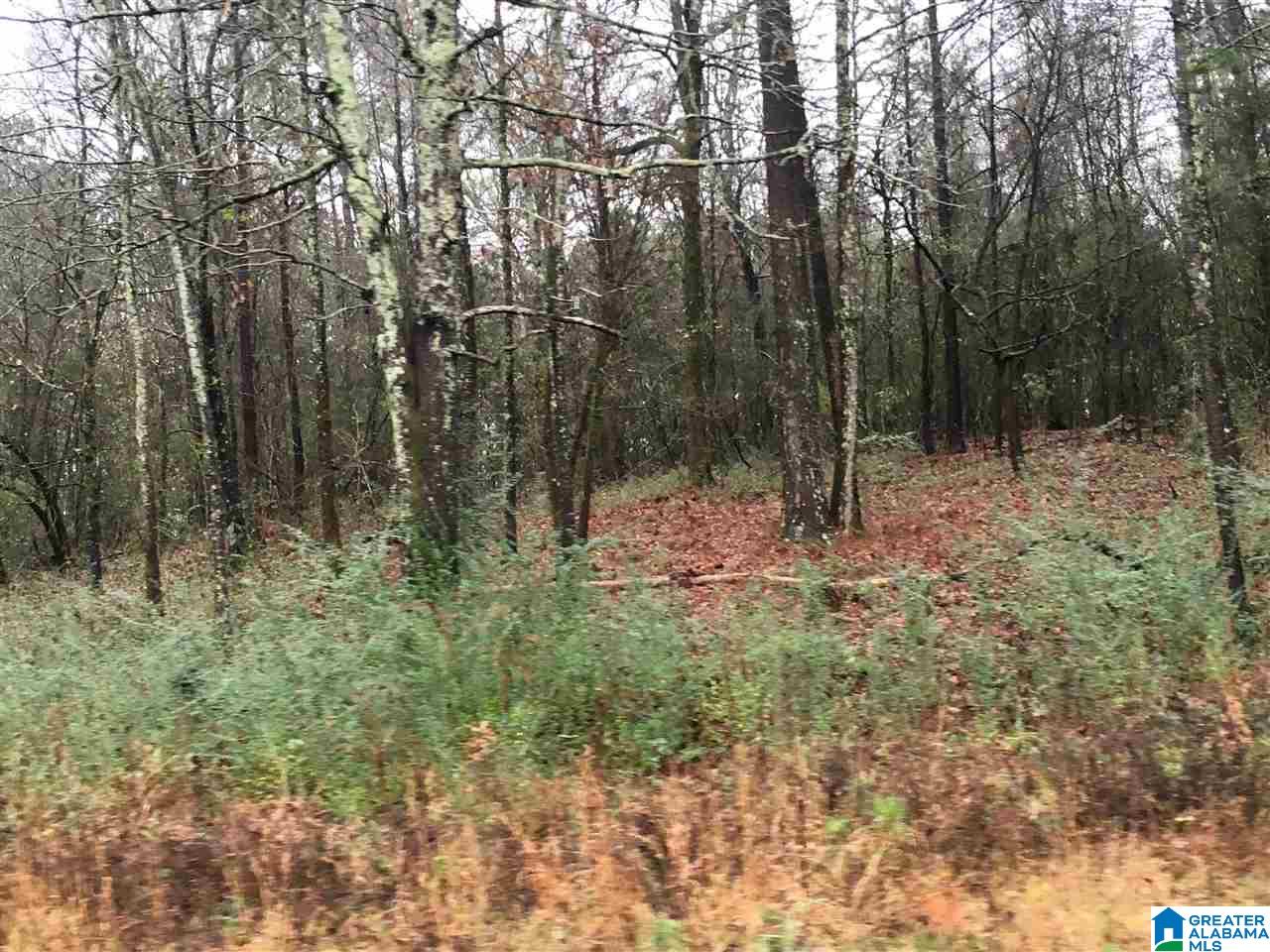 1245 Eureka Road, Unit 2 Lincoln, AL 35096 - Photo 29 of 32