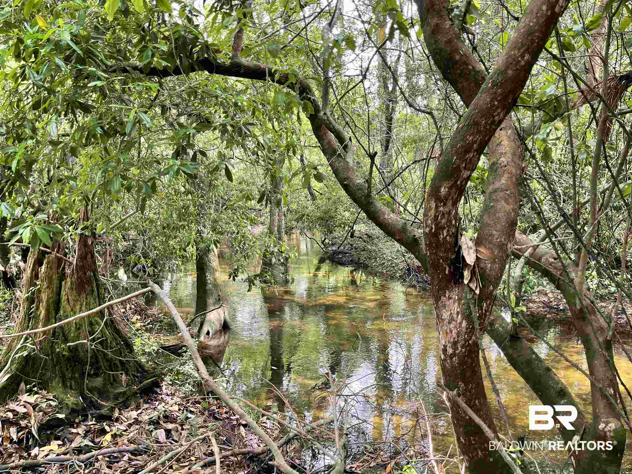 22599 Highway 98 Foley, AL 36535 - Photo 18 of 49
