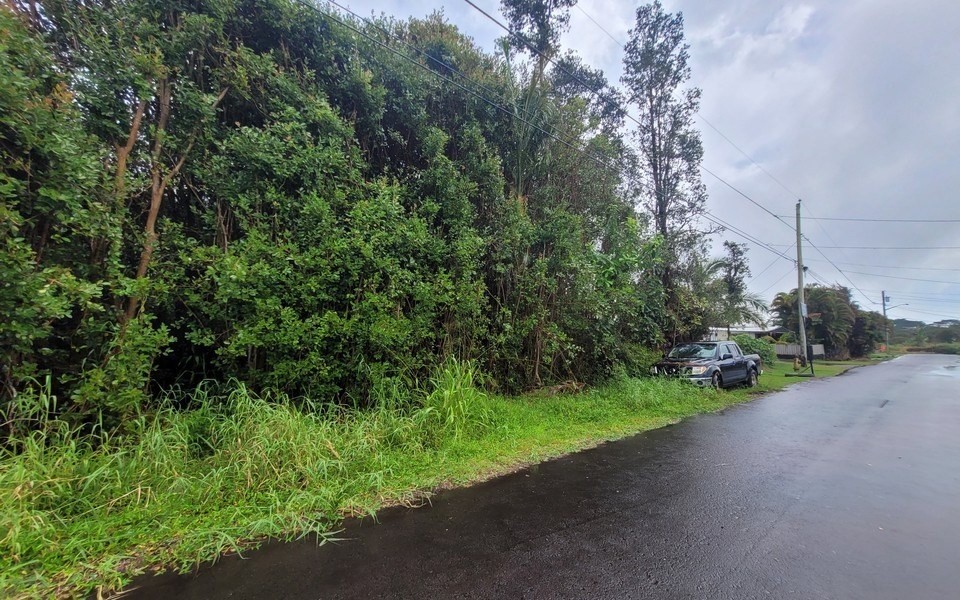 195 Peleke Road Mountain View, HI 96771 - Photo 5 of 9 Gallery Image 5