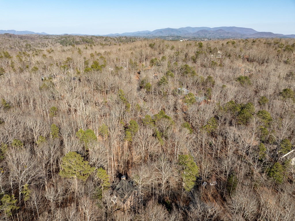 160 Primrose Court Ellijay, GA 30540 - Photo 11 of 52