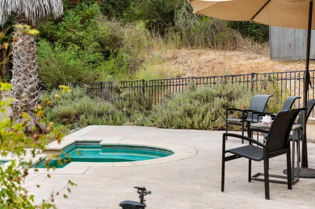 a view of a backyard with plants and lake