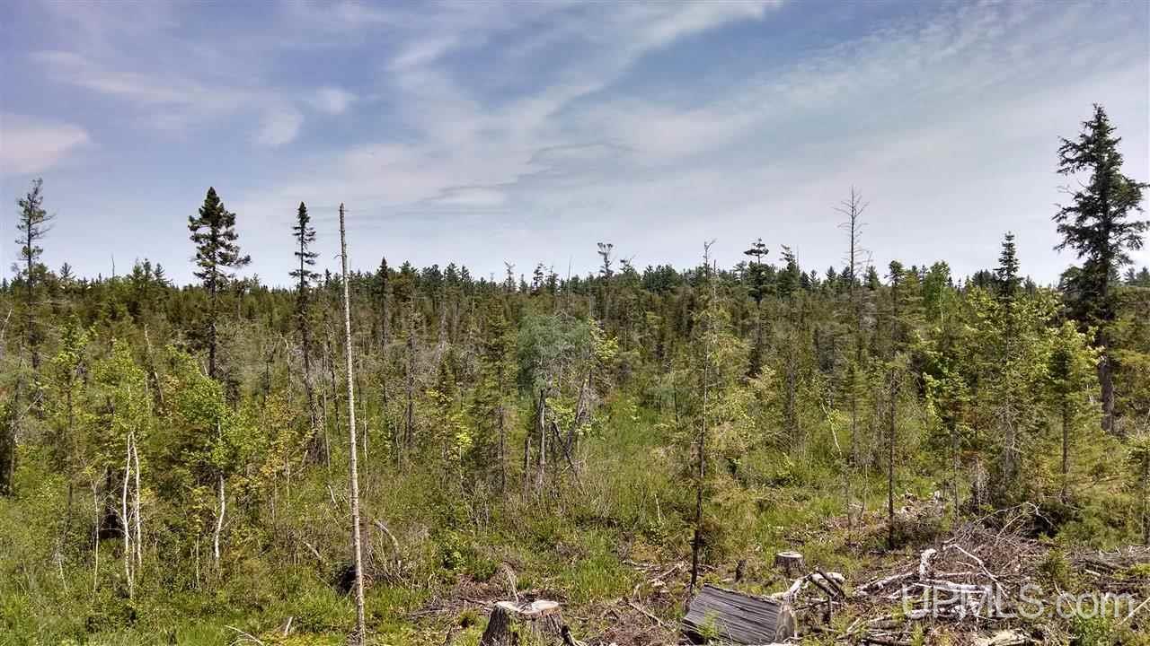 N1766 Old Plank Road Wetmore, MI 49895 - Photo 20 of 25