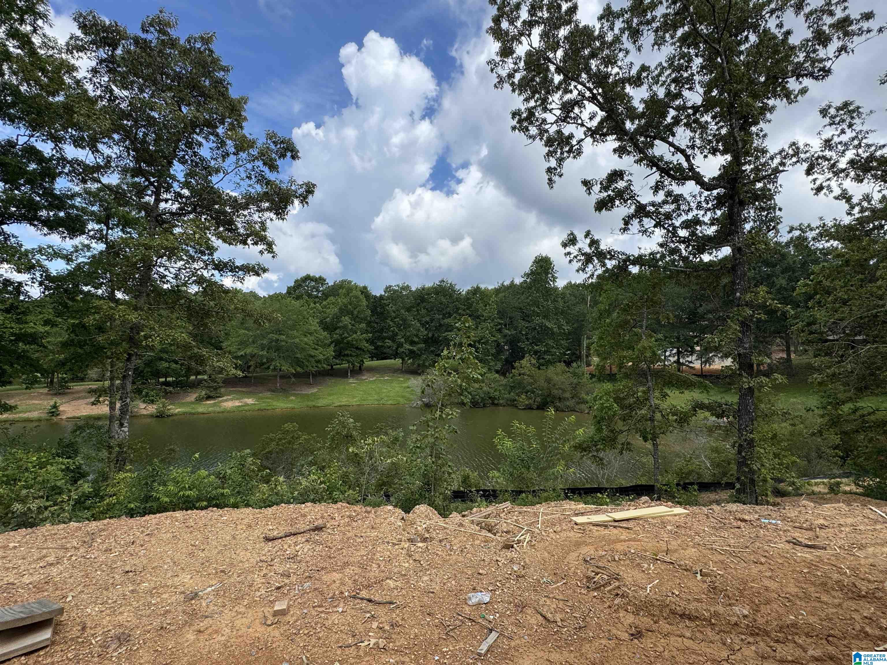 612 Emerald Trace Chelsea, AL 35043 - Photo 20 of 20