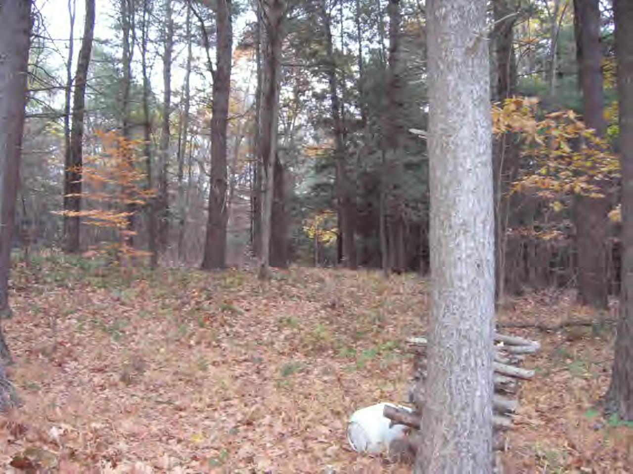 0 North Beech Plain Road Sandisfield, MA 01255 - Photo 4 of 7 Additional Photo