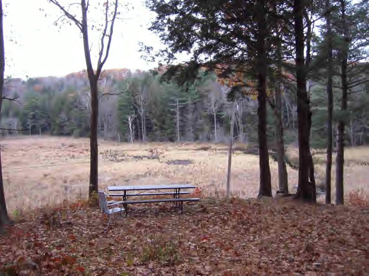 0 North Beech Plain Road Sandisfield, MA 01255 - Photo 5 of 7 Additional Photo