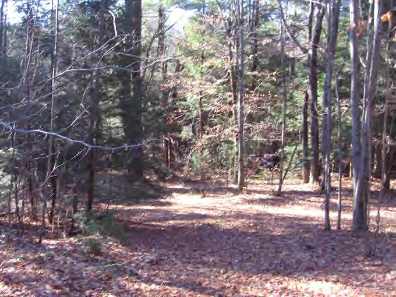 0 North Beech Plain Road Sandisfield, MA 01255 - Photo 6 of 7 Additional Photo
