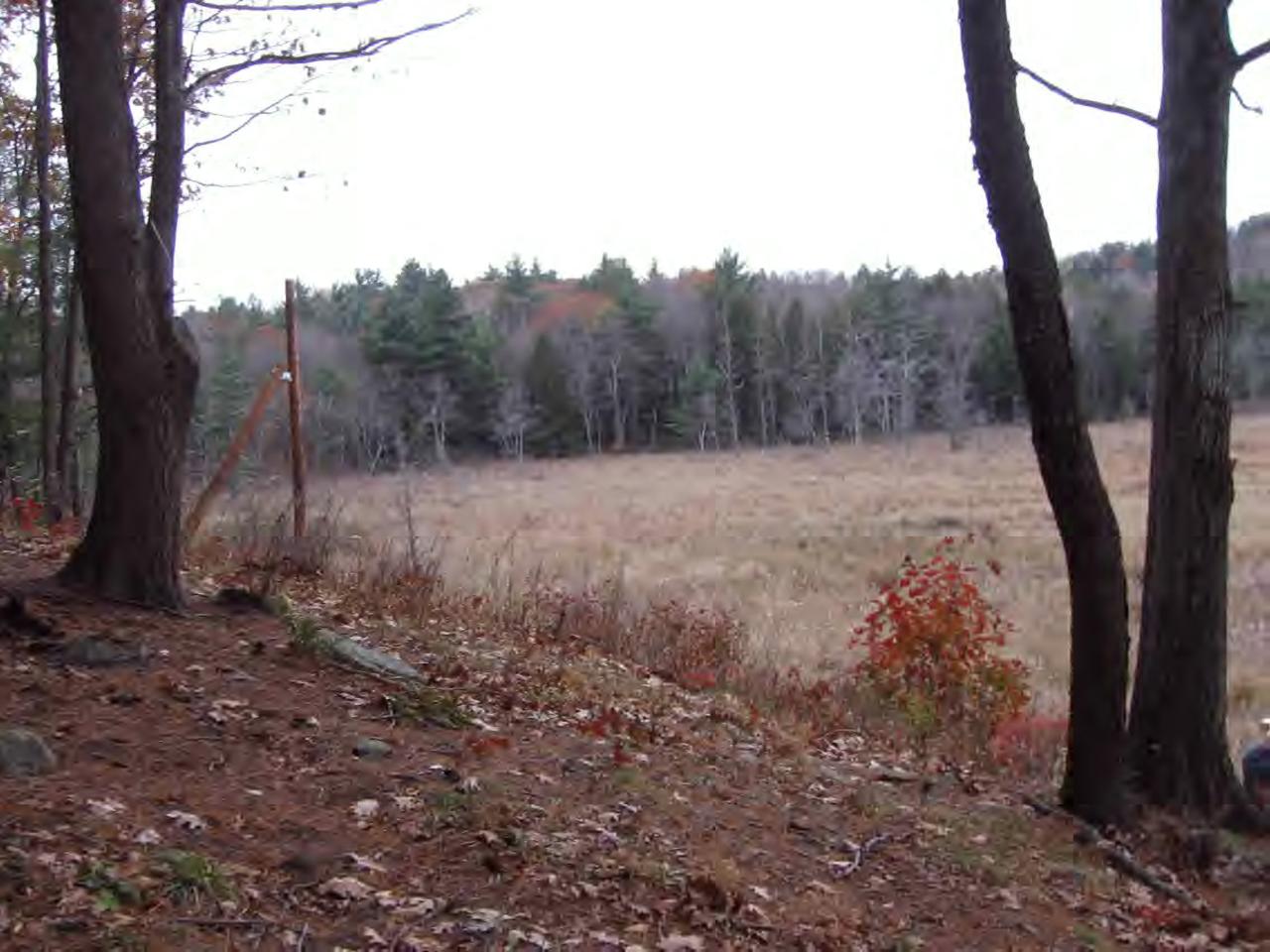 0 North Beech Plain Road Sandisfield, MA 01255 - Photo 7 of 7 Additional Photo