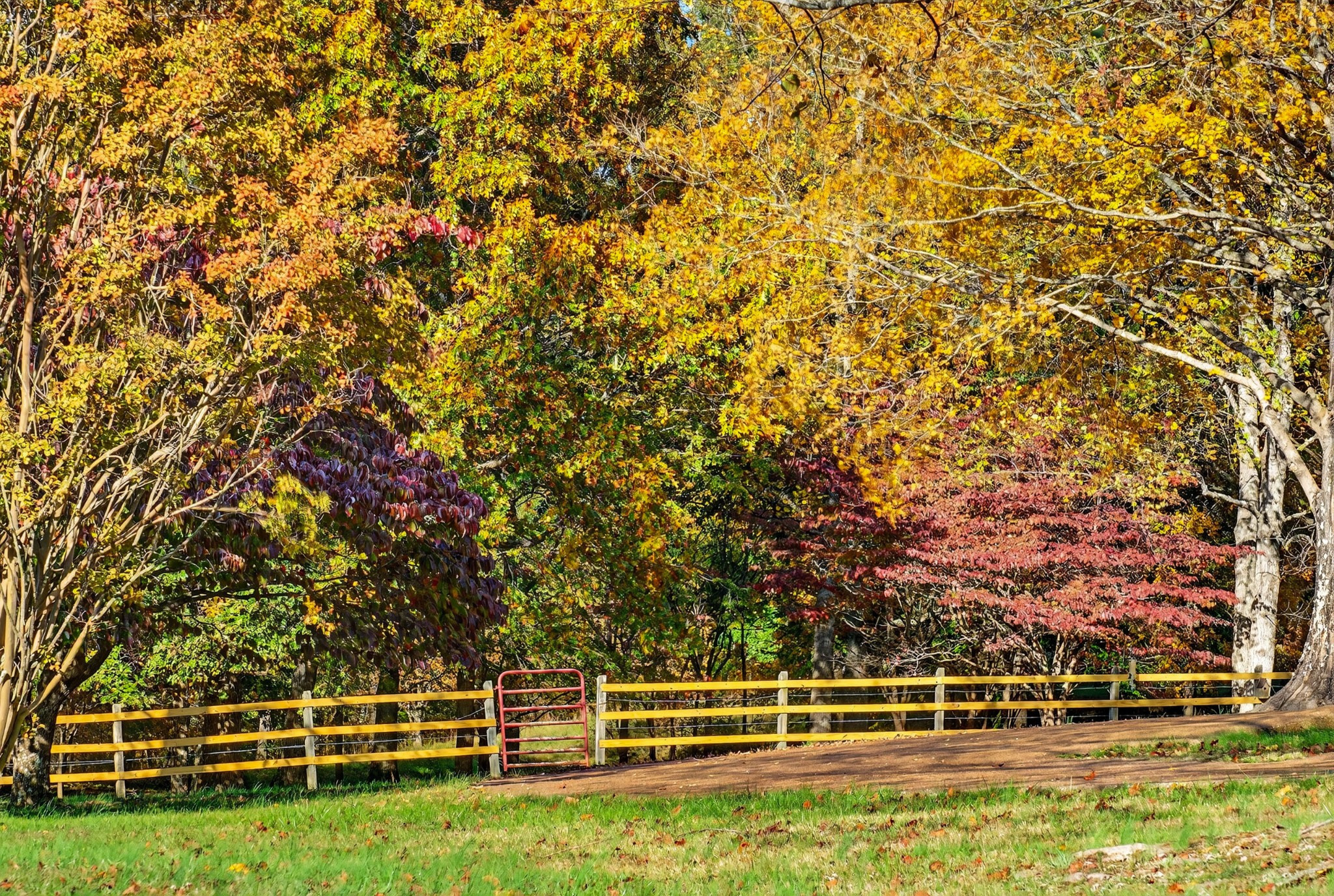 226 West Biggs Road Cottontown, TN 37048 - Photo 12 of 56 a view of an outdoor space with swimming pool