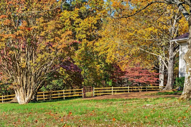 a view of a field with trees in the background