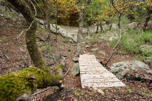 a view of a pathway both side of yard