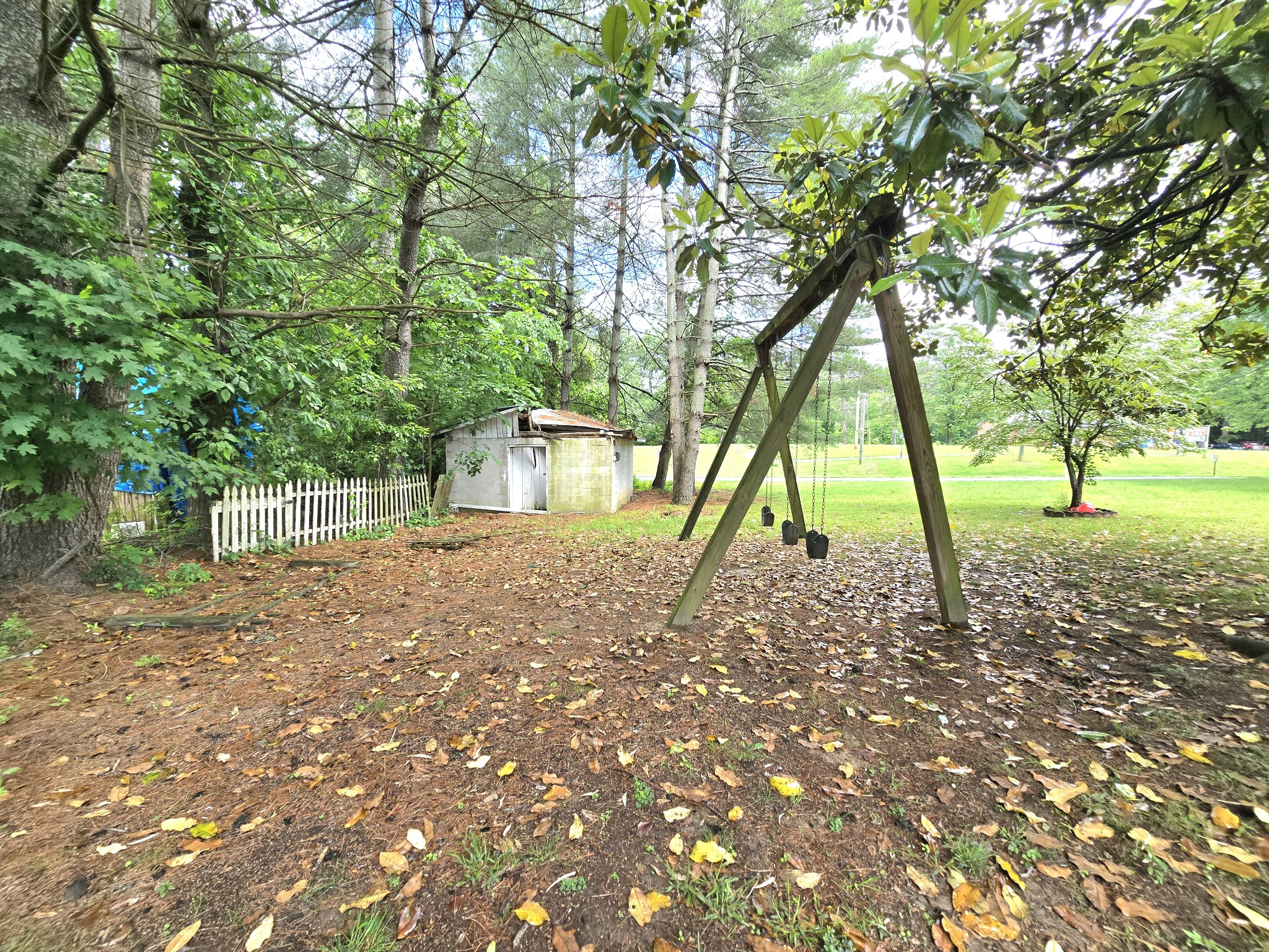 118 Bone Cave Road Rock Island, TN 38581 - Photo 47 of 52 a view of outdoor space with trees