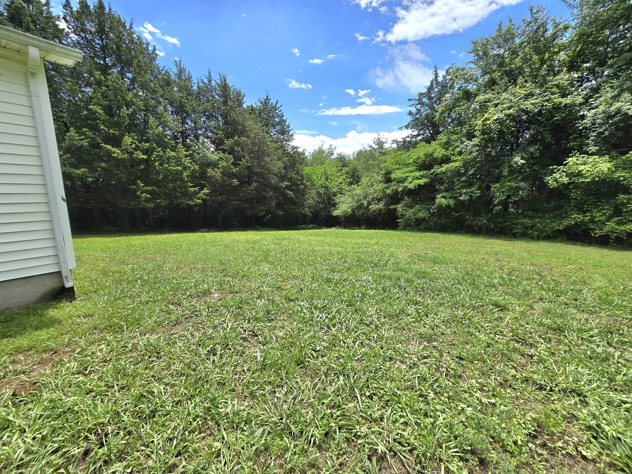118 Bone Cave Road Rock Island, TN 38581 - Photo 48 of 52 a view of an outdoor space and a yard