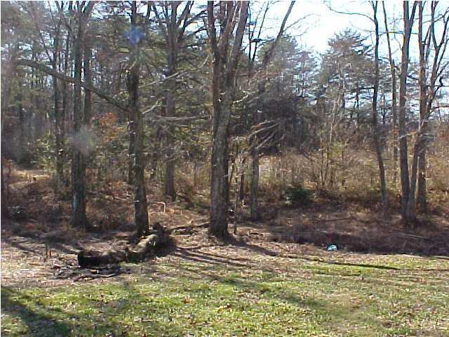 1712 Poe Road Soddy Daisy, TN 37379 - Photo 4 of 7 Additional Photo