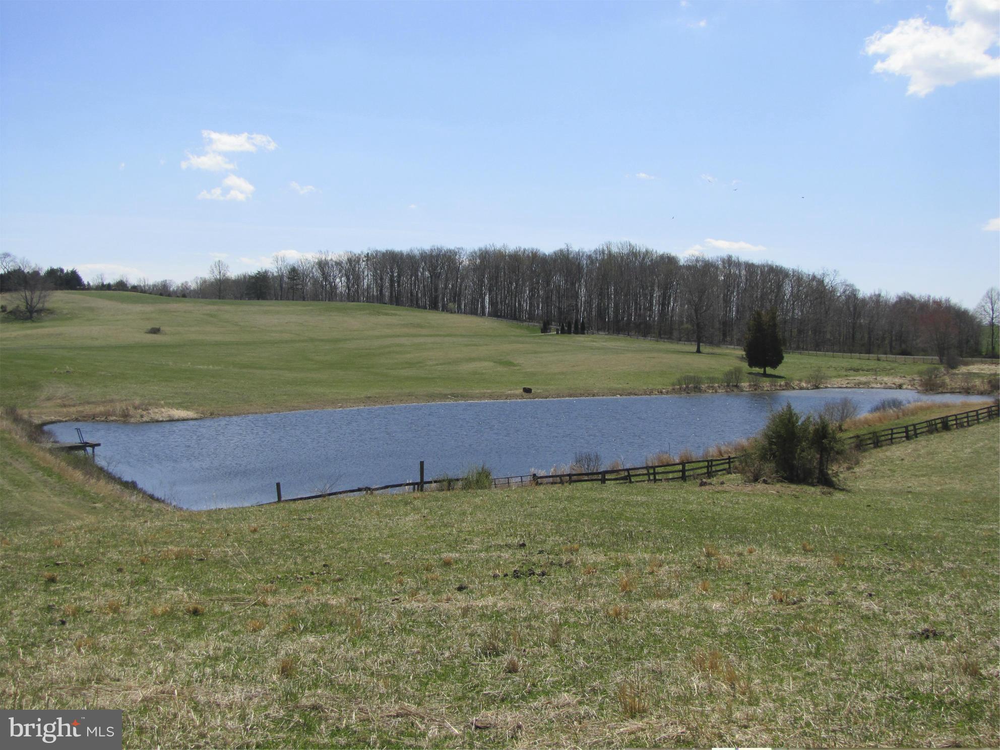10410 Conde Road Marshall, VA 20115 - Photo 1 of 13 Pond