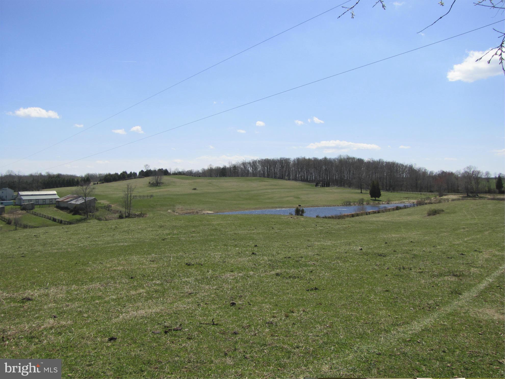 10410 Conde Road Marshall, VA 20115 - Photo 11 of 13 Pastoral views