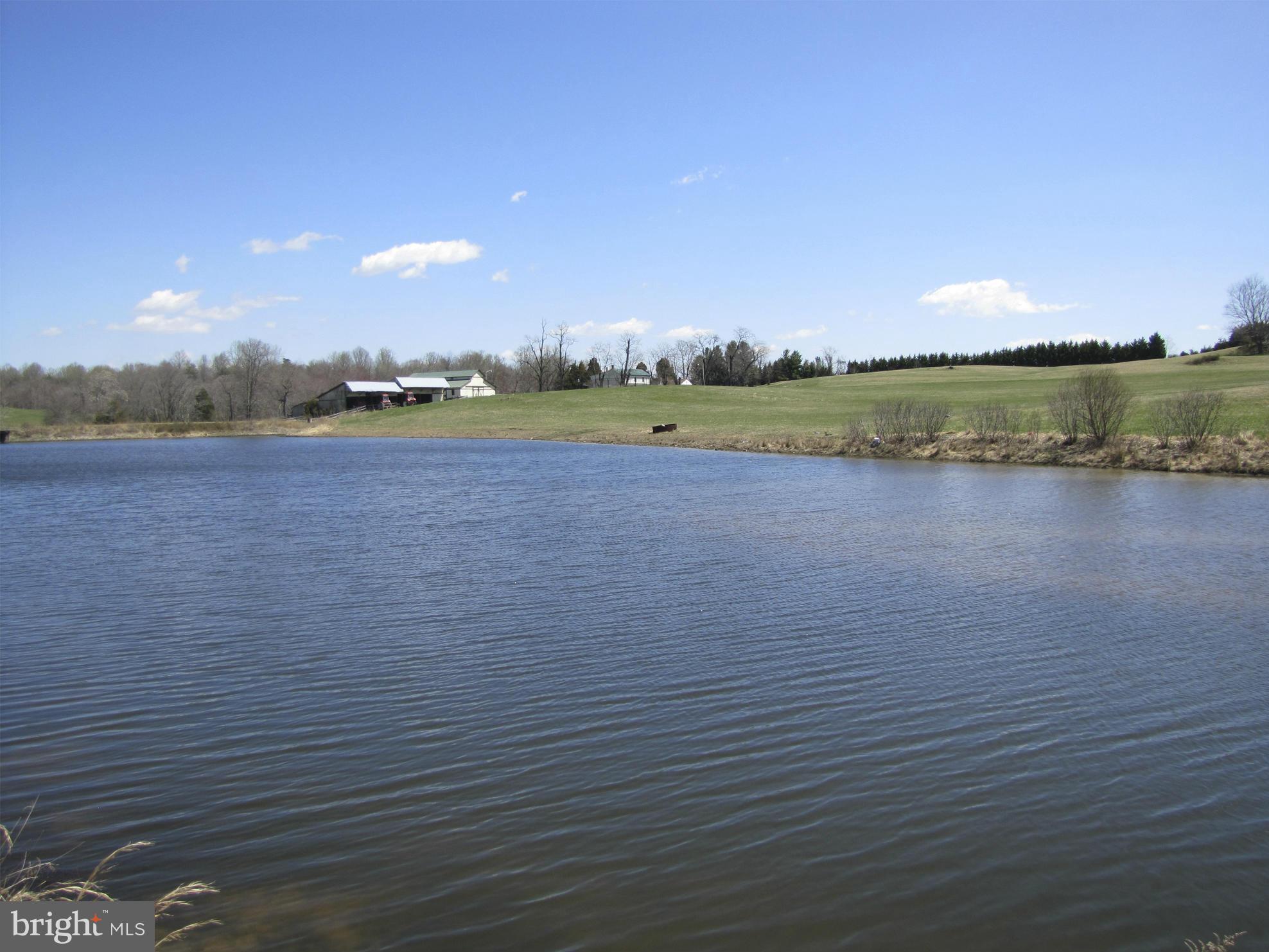 10410 Conde Road Marshall, VA 20115 - Photo 4 of 13 Pond