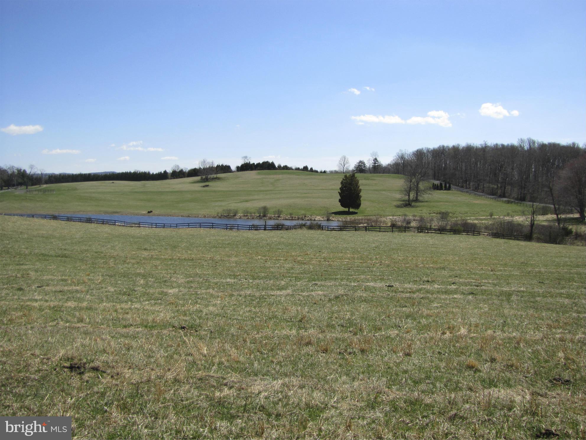 10410 Conde Road Marshall, VA 20115 - Photo 10 of 13 Pastoral views