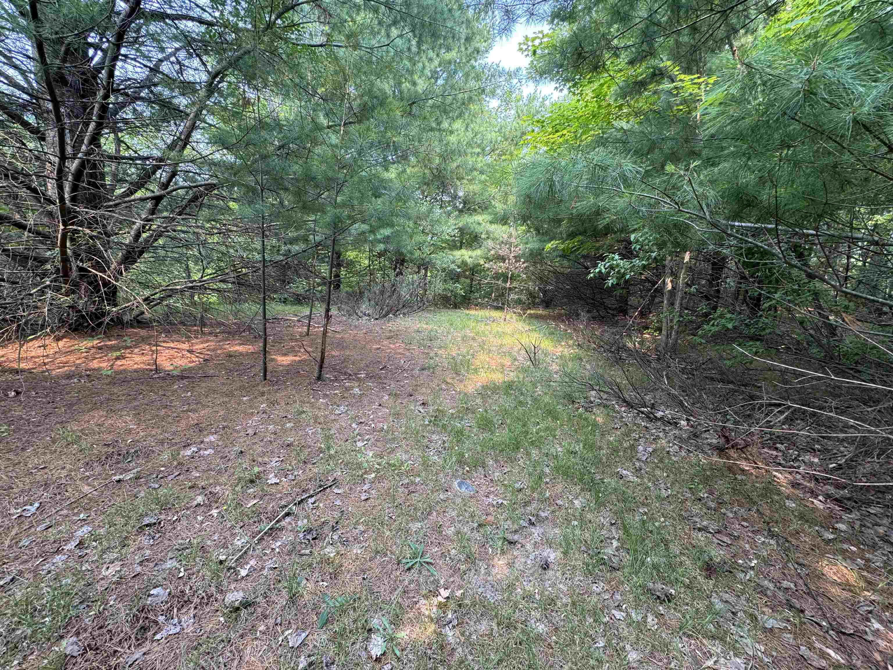 Lot #1 East Bellinger Road, Unit BELLINGER ESTATES #1 LOT: Cedar, MI 49621 - Photo 4 of 14
