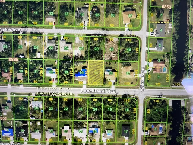 a view of a yard with plants