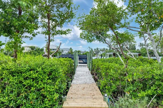 a view of a pathway both side of white house