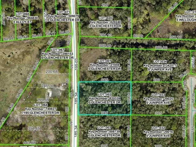 $41,900 | 7192 Glenchester Drive, Webster, FL 33597