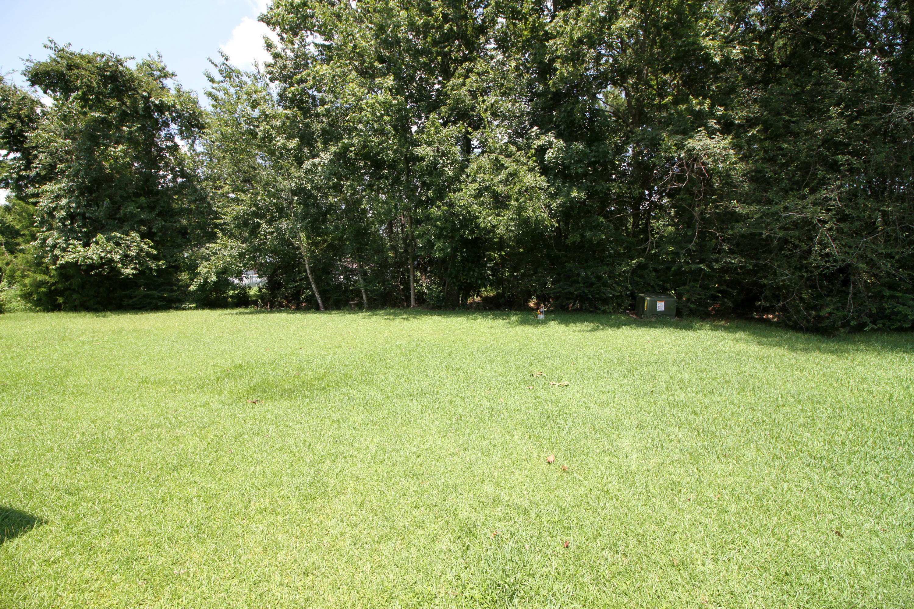 108 Peach Road Goose Creek, SC 29445 - Photo 17 of 18 IMG_6035