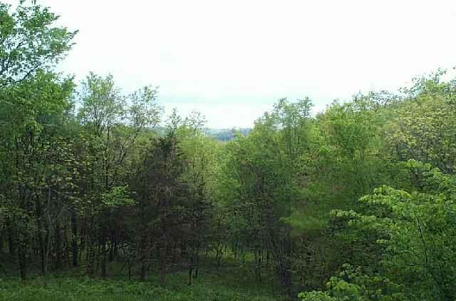 391 West Wachter Road Galena, IL 61036 - Photo 8 of 9 Gallery Image 8