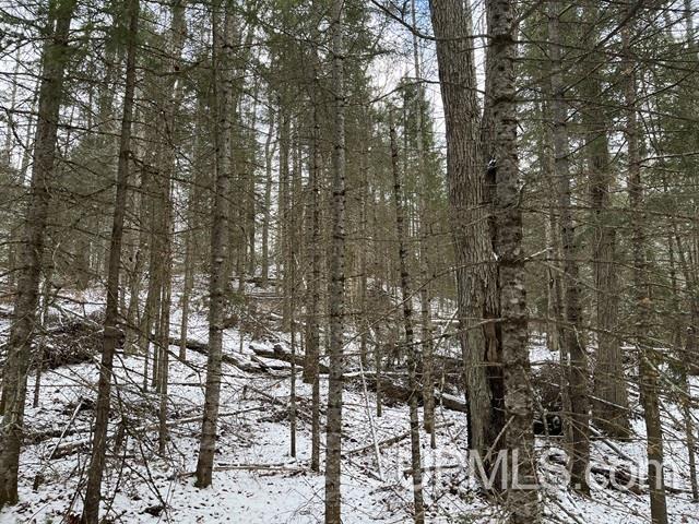 545 South Rd Skandia Mi 49885 Road Skandia, MI 49885 - Photo 11 of 38