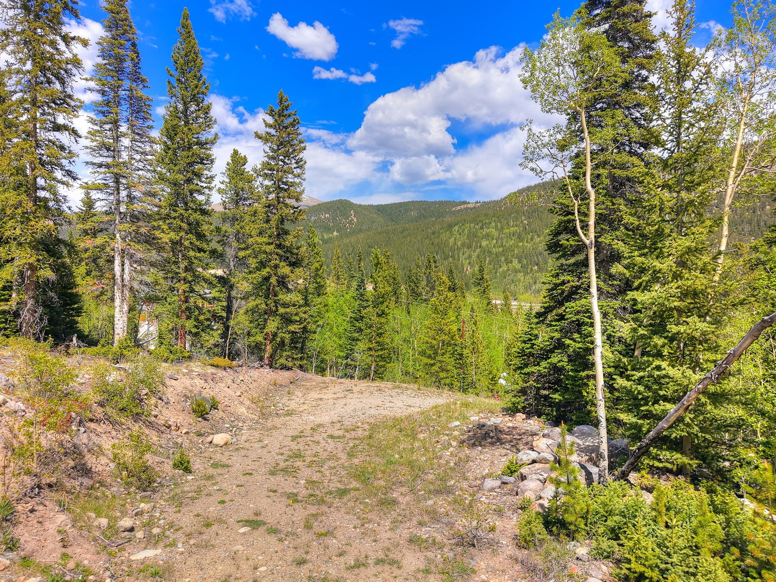 253 Mine Dump Road Alma, CO 80420 - Photo 2 of 13