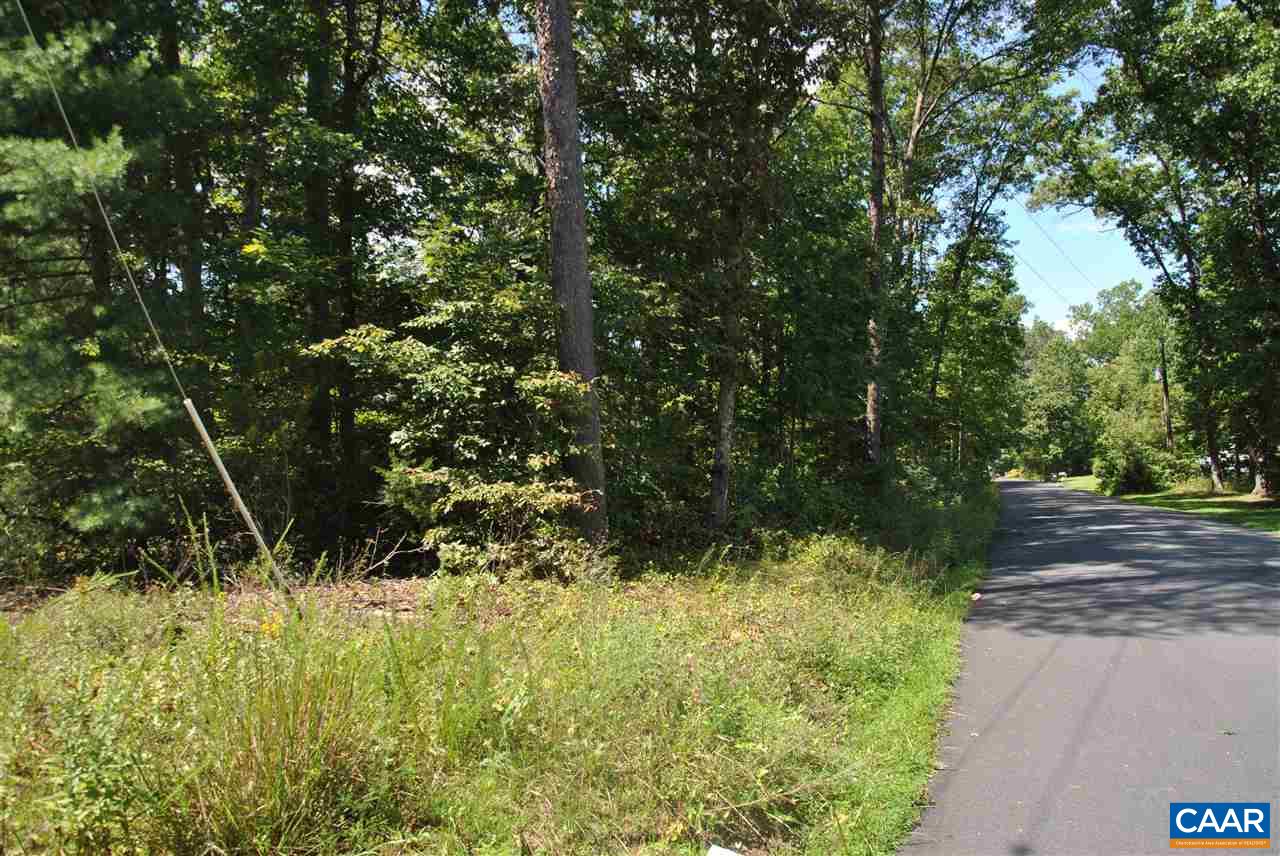 Lot 33 Crest Road Ruckersville, VA 22968 - Photo 1 of 7 a view of a yard with plants and large trees