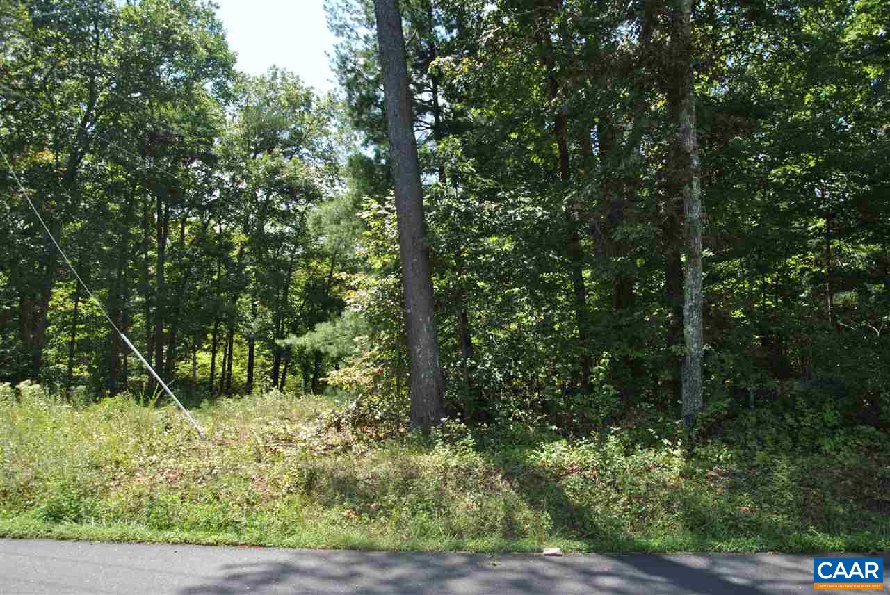 Lot 33 Crest Road Ruckersville, VA 22968 - Photo 2 of 7 a view of outdoor space and green space
