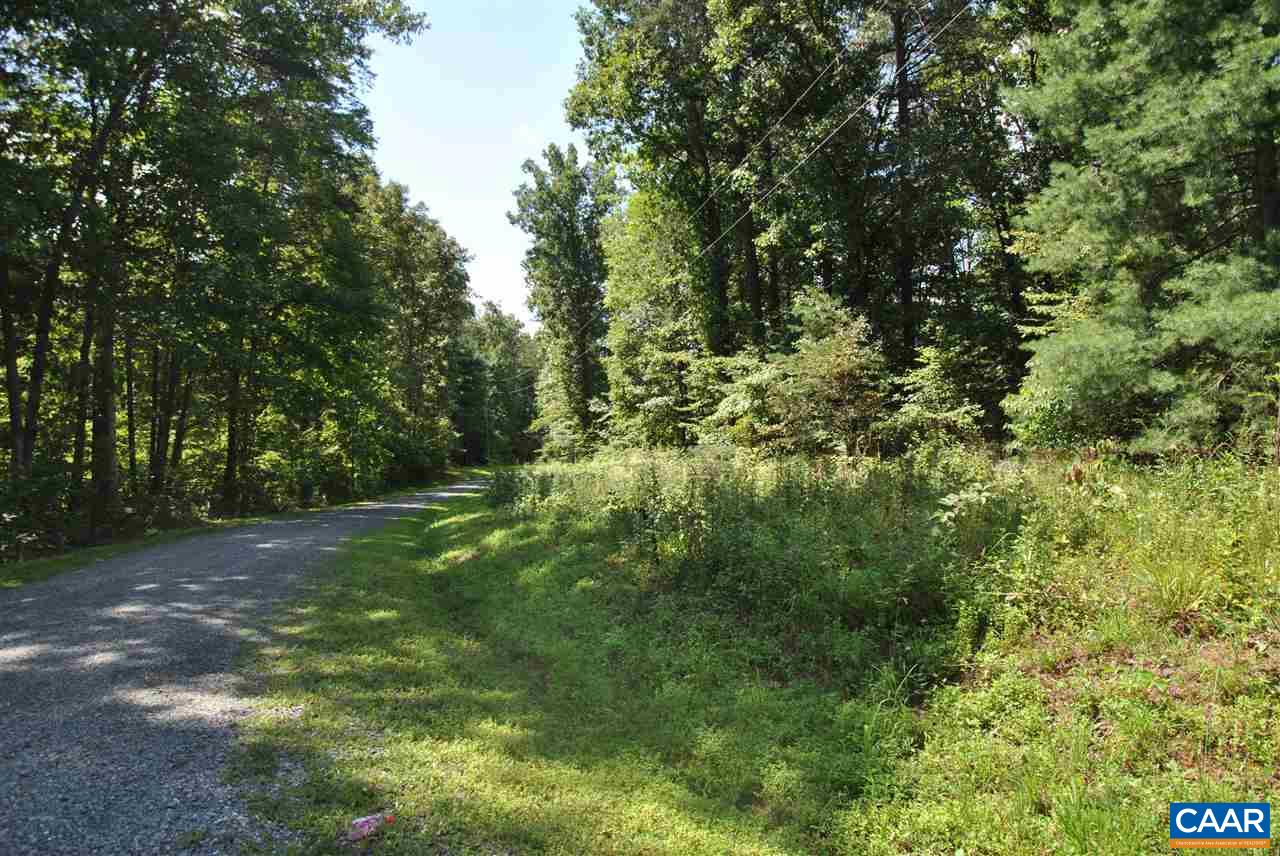 Lot 33 Crest Road Ruckersville, VA 22968 - Photo 3 of 7 a view of a yard with a tree