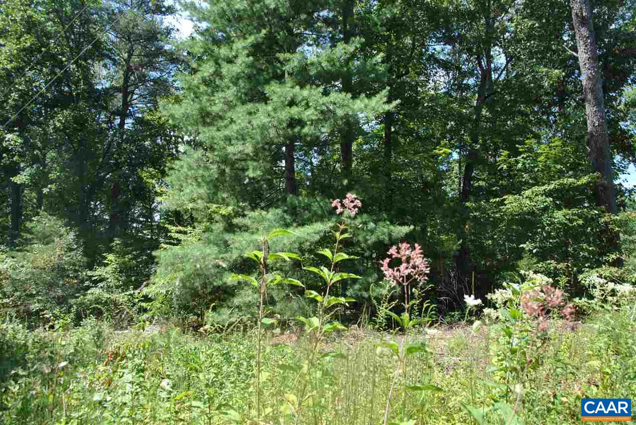 Lot 33 Crest Road Ruckersville, VA 22968 - Photo 4 of 7 a view of a plant in a garden