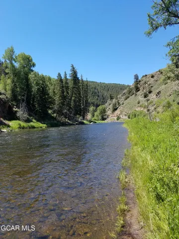 a view of a yard with a tree