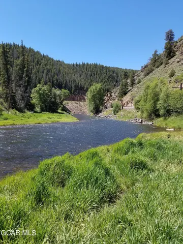 a view of a yard with a tree