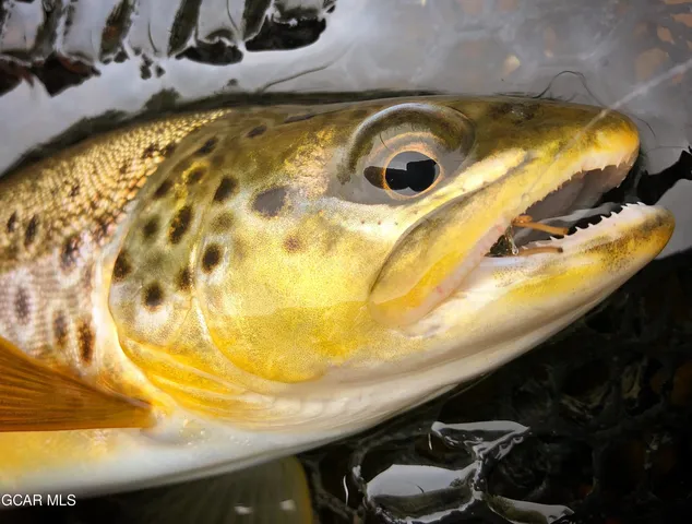 a bathroom with a sink
