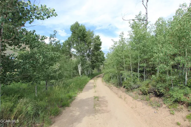 a view of a lake with a mountain in the background