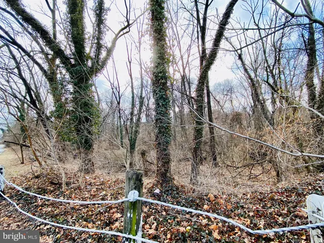 a view of a yard with large trees