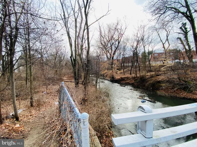 a view of a yard with trees