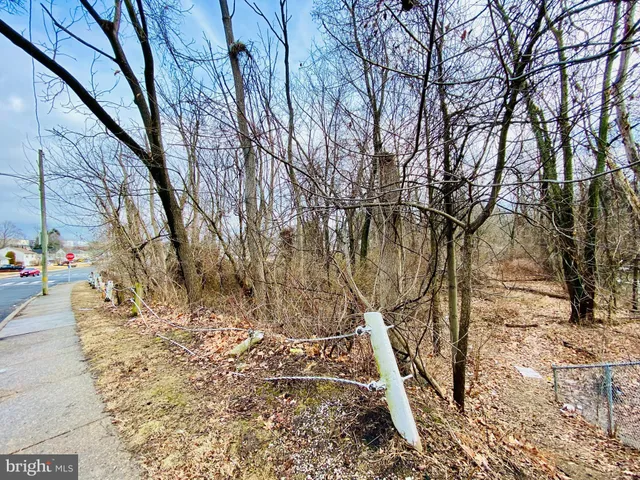 a view of a yard with plants and trees