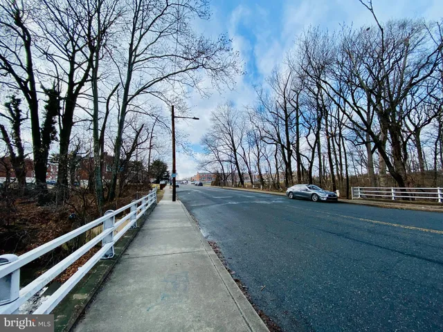 a view of a park with large trees