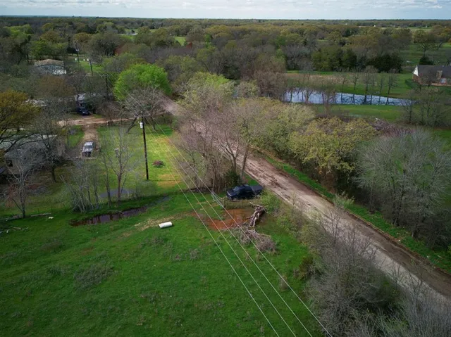 a view of field with tall trees